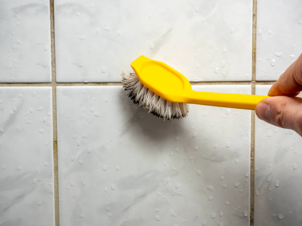 Best Fast Mold Removal  in Aspen, CO